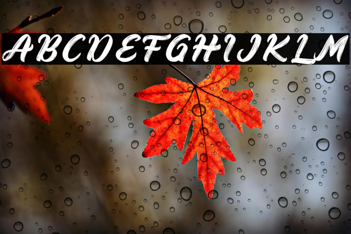 Bruskest DEMO Regular Example 1