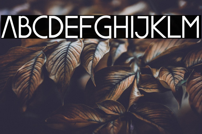 Brusly Name Demo Sanserif Example 2