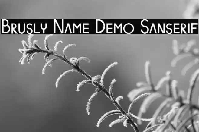 Brusly Name Demo Sanserif Font examples