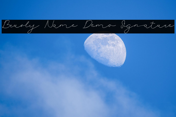 Brusly Name Demo Signature Example 3