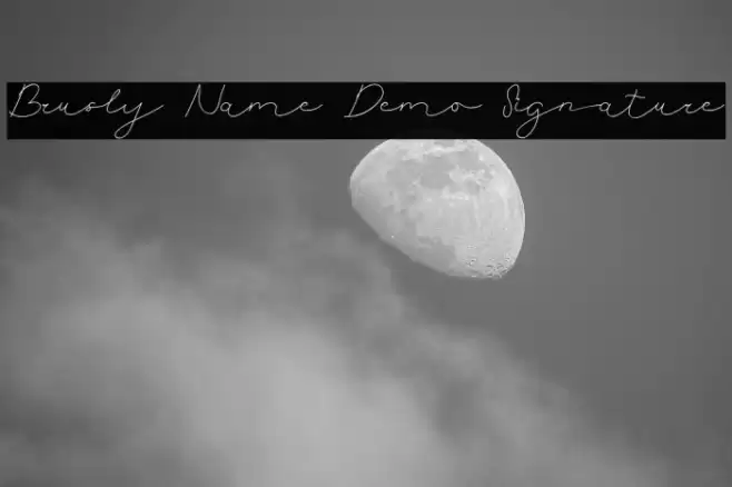 Brusly Name Demo Signature Font examples