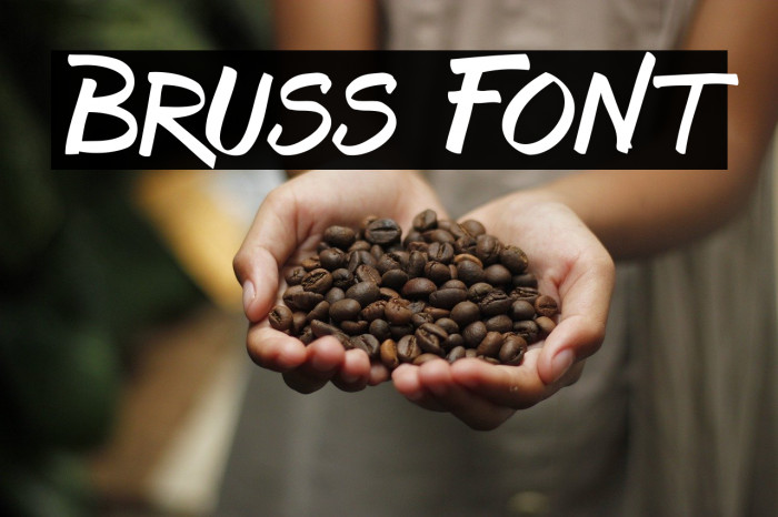 Bruss Font examples