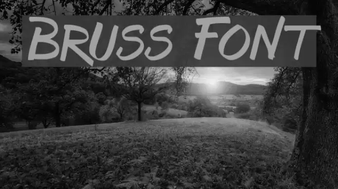 Bruss Font examples