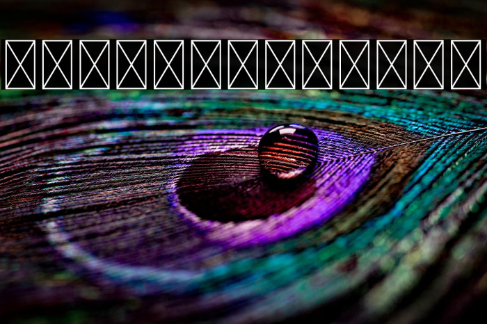 Brusthy Swash Example 2