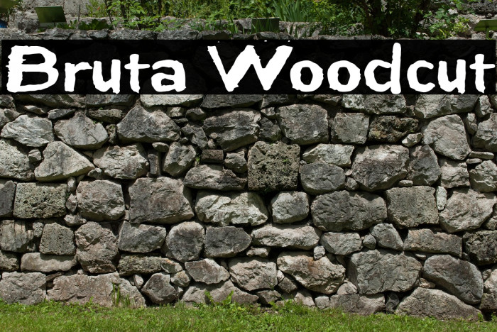 Bruta Woodcut Example 1