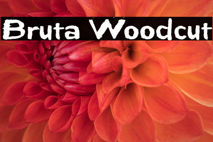 Bruta Woodcut Example 2