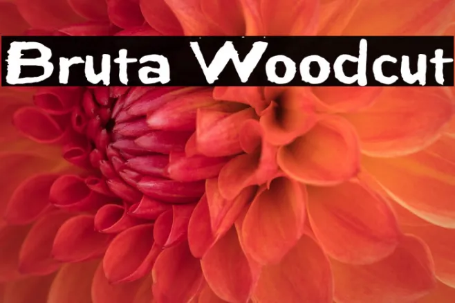 Bruta Woodcut Example 2