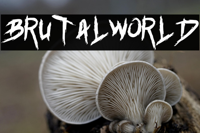 Brutalworld Example 2