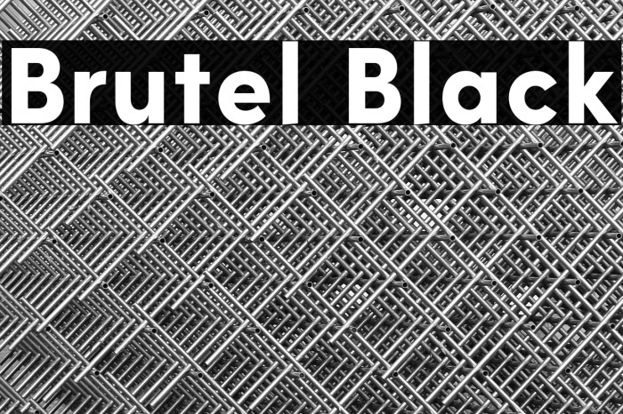 Brutel Black Example 1