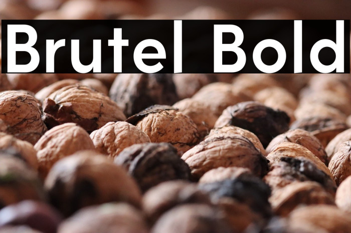 Brutel Bold Example 1