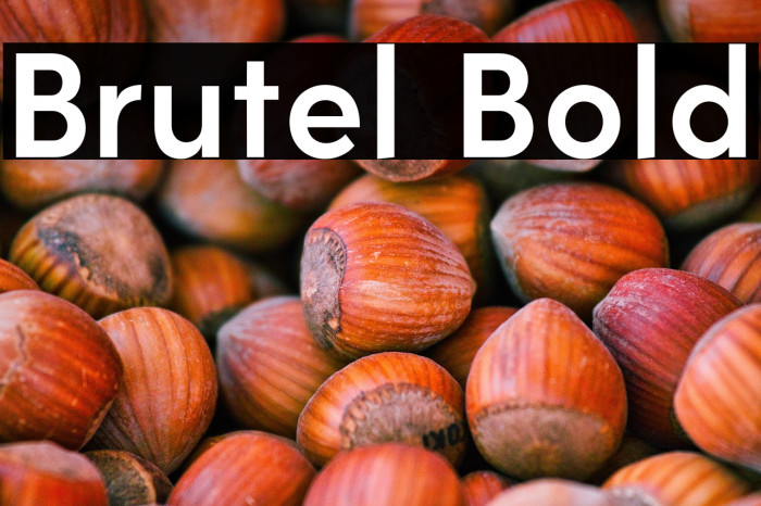 Brutel Bold Example 2