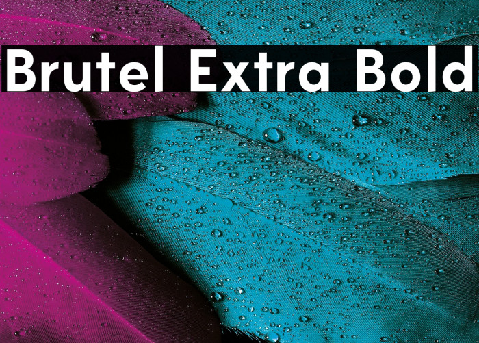 Brutel Extra Bold Example 1