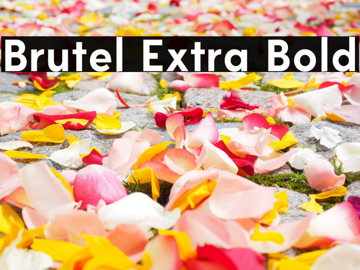 Brutel Extra Bold Example 2
