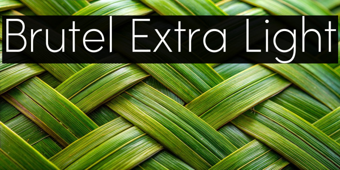 Brutel Extra Light Example 1