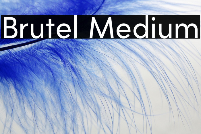 Brutel Medium Example 1