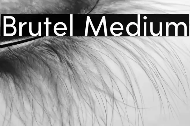 Brutel Medium Font examples