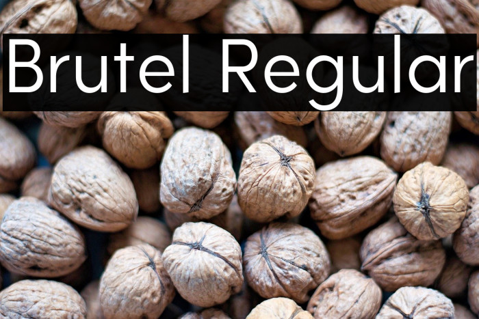 Brutel Regular Example 3