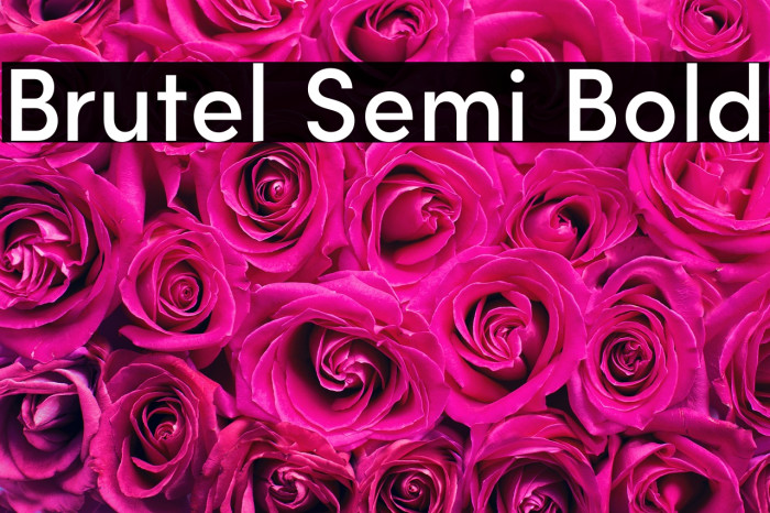 Brutel Semi Bold Example 3