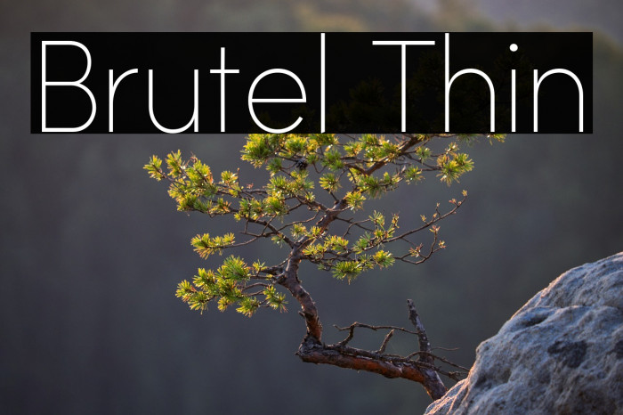 Brutel Thin Example 1