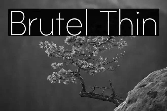 Brutel Thin Font examples