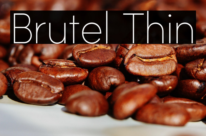 Brutel Thin Example 3