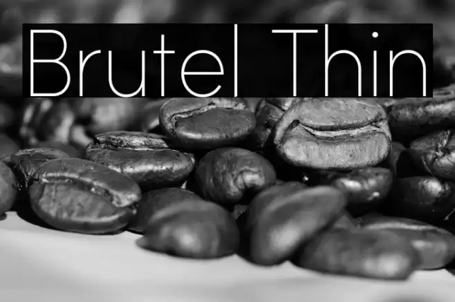 Brutel Thin Font examples