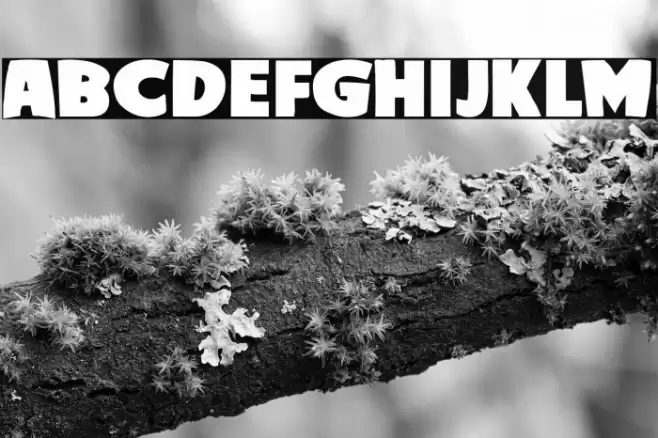 Brutus Academy Font examples