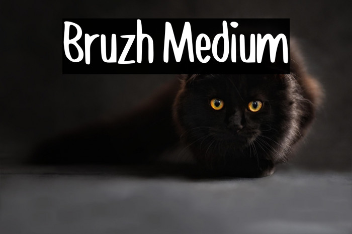 Bruzh Medium Example 2