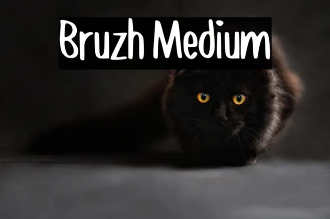 Bruzh Medium Example 2