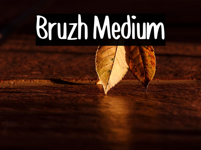 Bruzh Medium Example 3