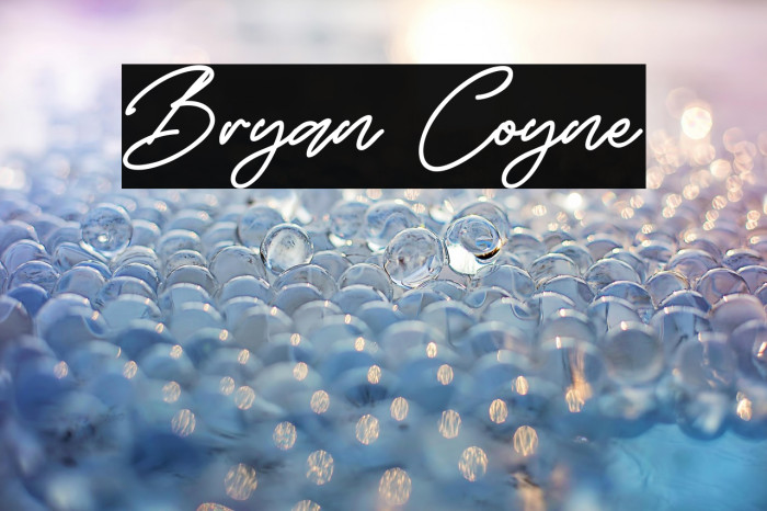 Bryan Coyne Example 2