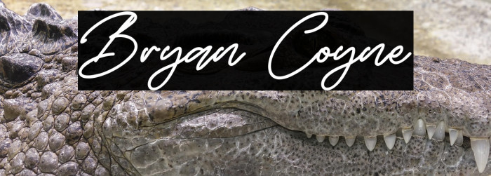 Bryan Coyne Example 3