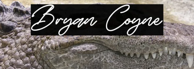Bryan Coyne Example 3