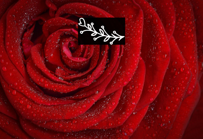 Bryan Kimberly Ornament Example 1