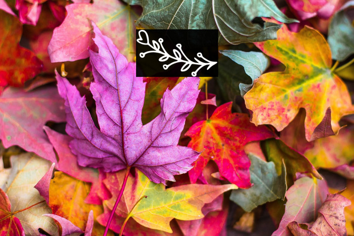 Bryan Kimberly Ornament Example 2