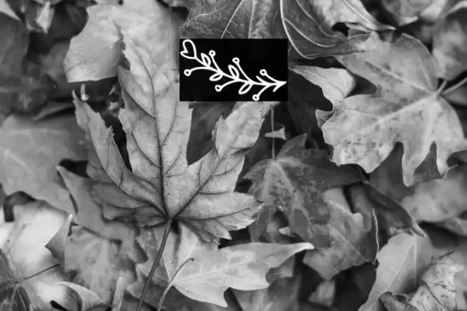 Bryan Kimberly Ornament Fonte examples