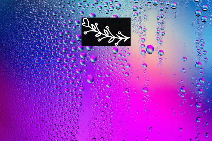 Bryan Kimberly Ornament Example 3