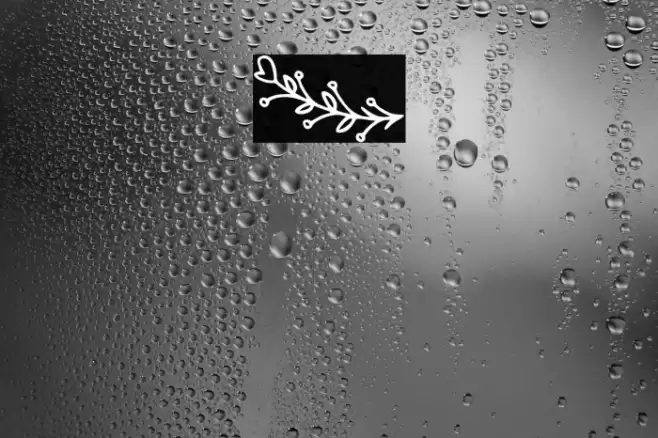 Bryan Kimberly Ornament Fonte examples