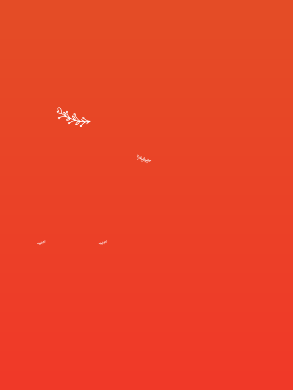 Bryan Kimberly Ornament Poster