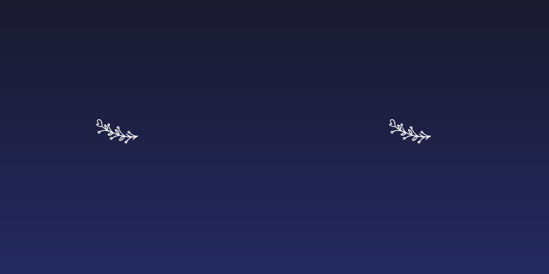 Bryan Kimberly Ornament Social Header