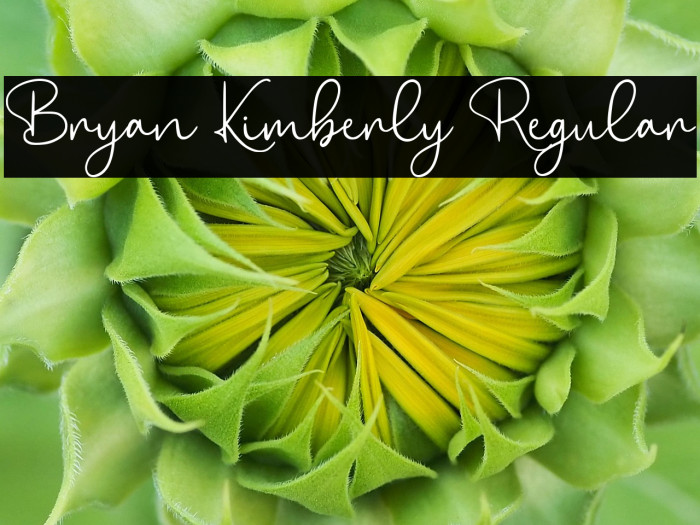 Bryan Kimberly Regular Example 2