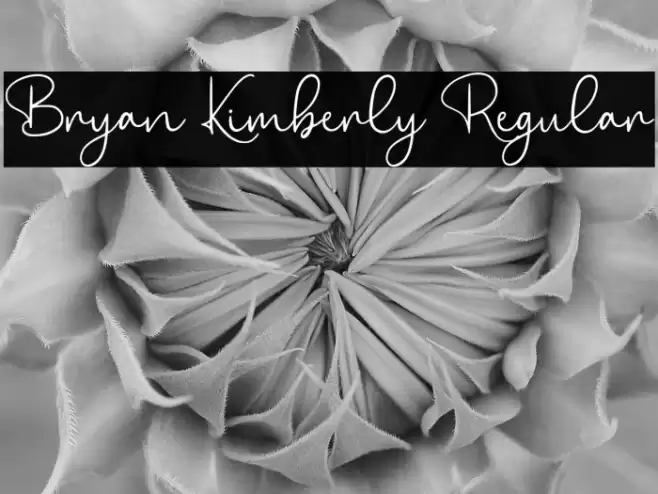 Bryan Kimberly Regular Fonte examples