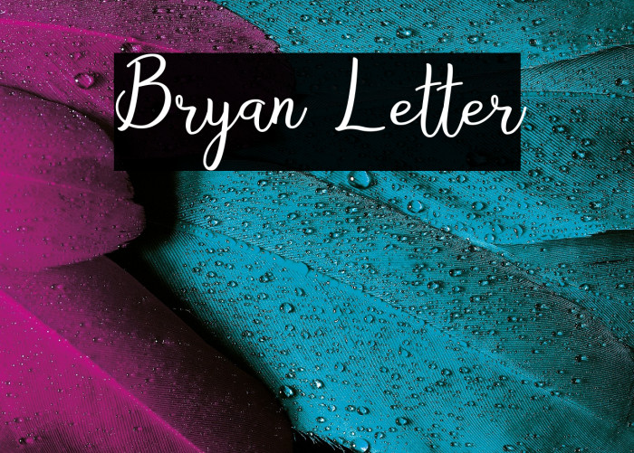 Bryan Letter Example 2
