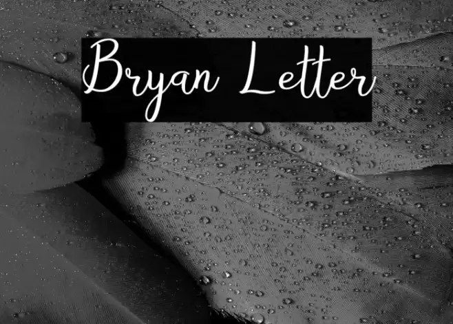 Bryan Letter Fonte examples
