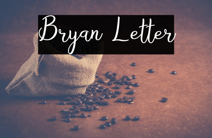 Bryan Letter Example 3
