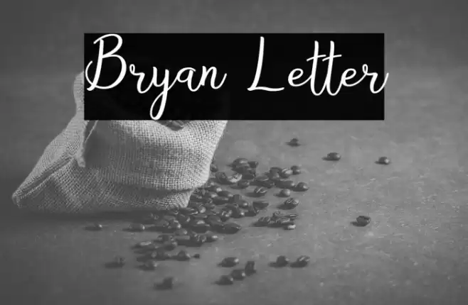 Bryan Letter Fonte examples