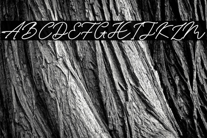 BryanCoyne Example 1