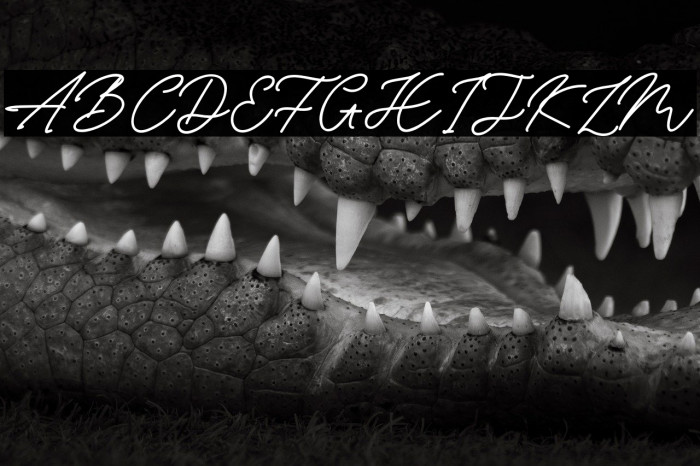 BryanCoyne Example 2