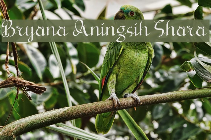 Bryana Aningsih Shara Font examples