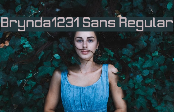Brynda1231 Sans Regular Font examples